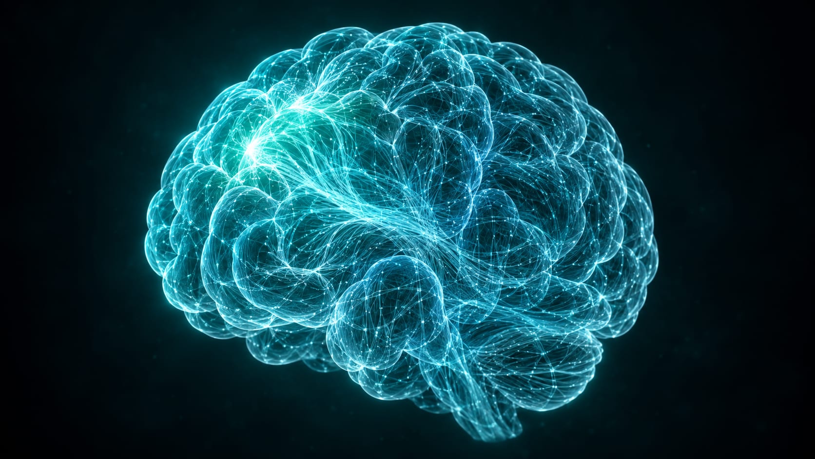 A second brain: one maintained body of business knowledge